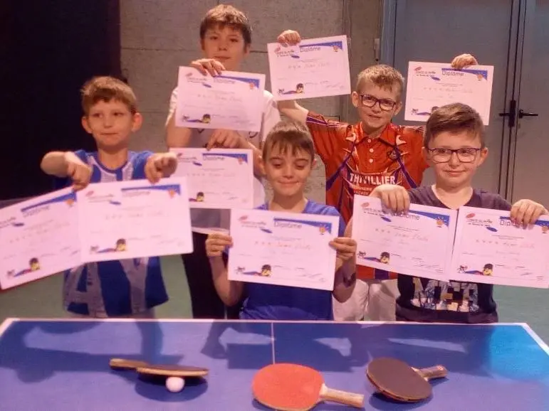 Diplôme Balle 3/4 Étoiles 2019